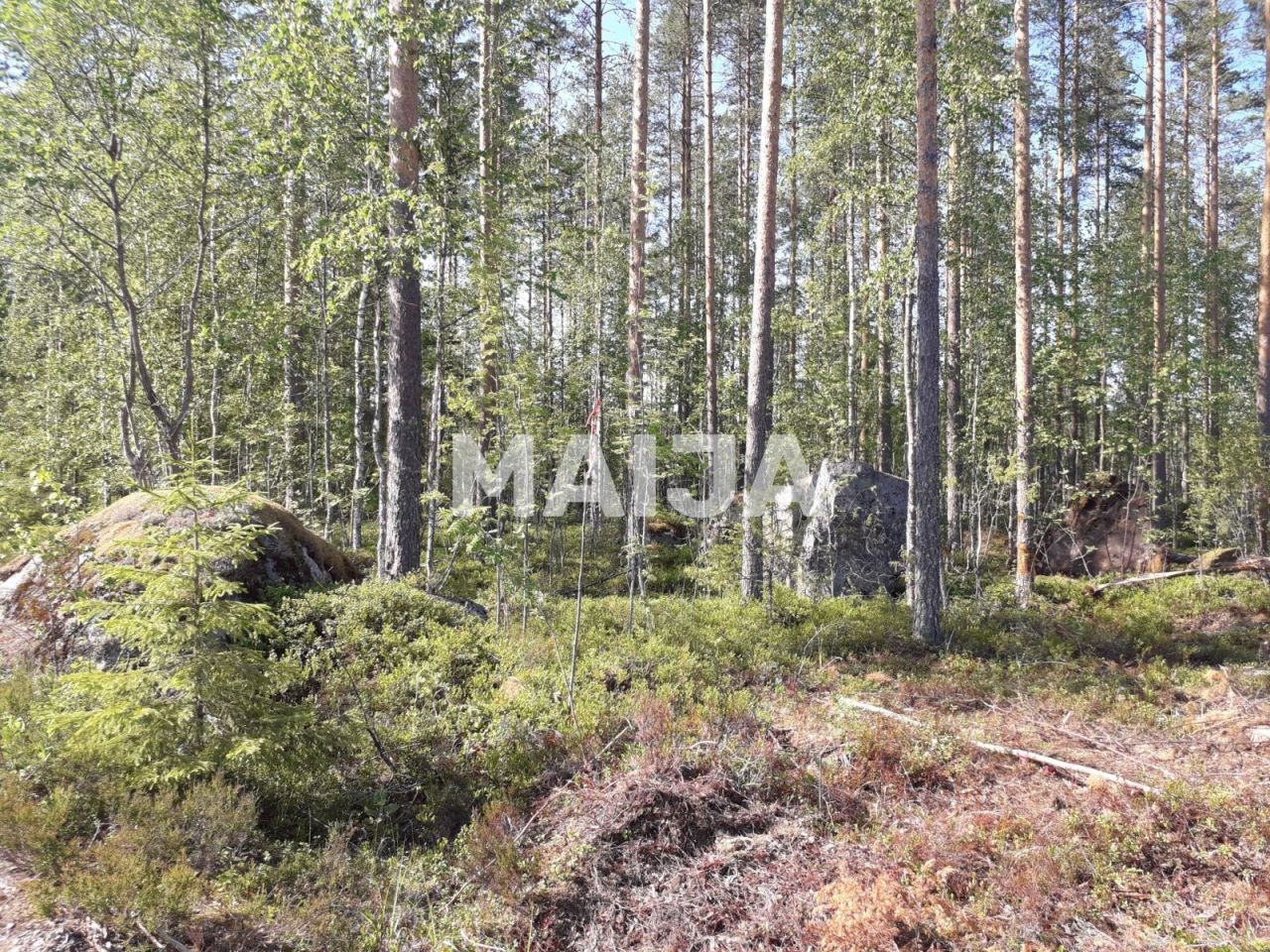 Terreno a Ruokolahti, Finlandia, 5 030 m2 - foto 6