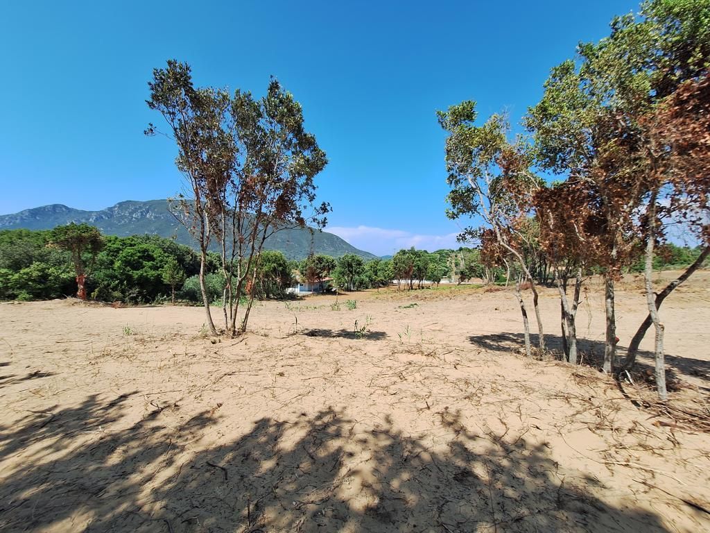 Land in Corfu, Greece, 5 064 m² - picture 6