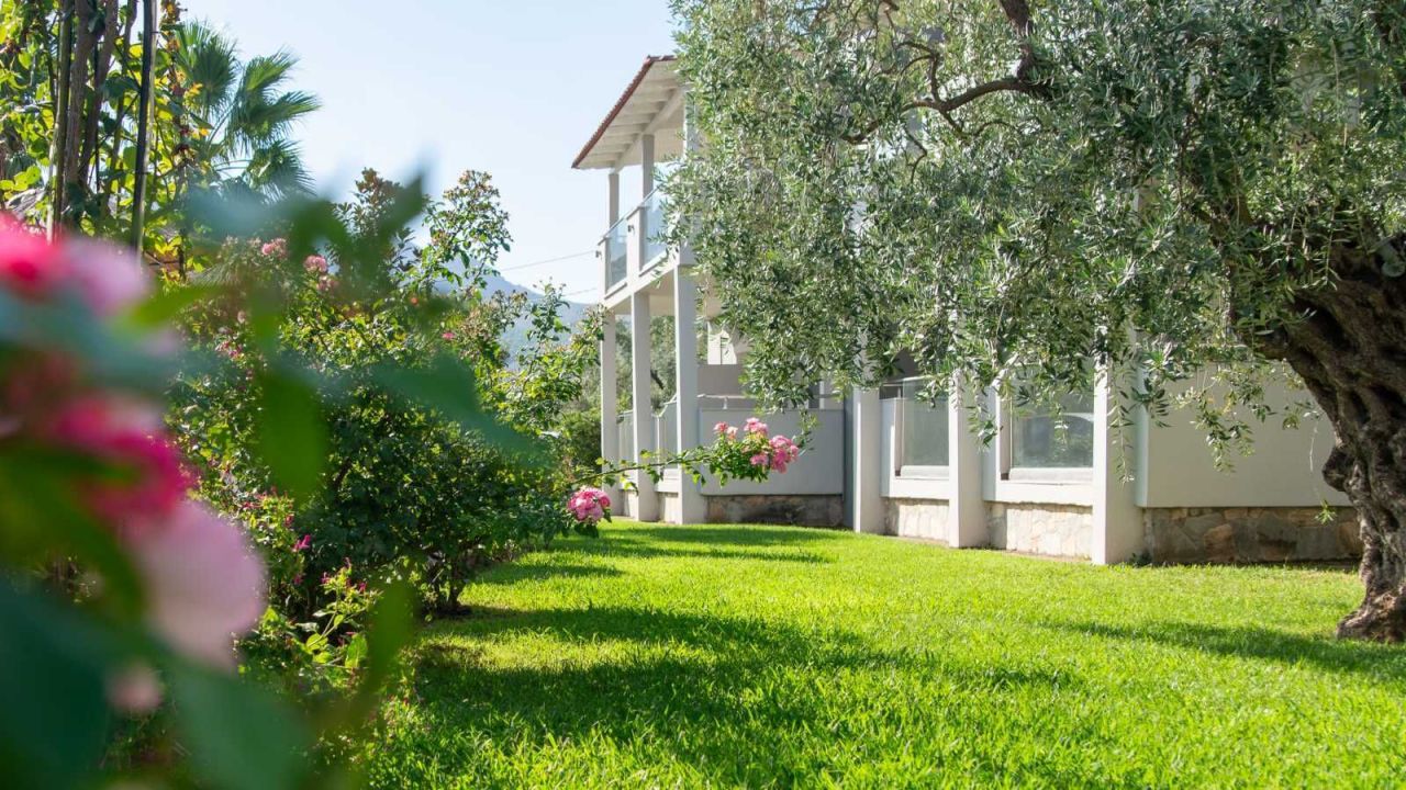 Hotel, albergo su Taso, Grecia, 1 056 m² - foto 10