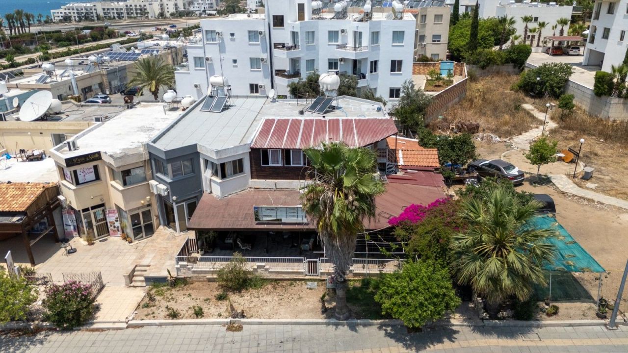 Café, restaurant à Paphos, Chypre, 375 m² - image 4