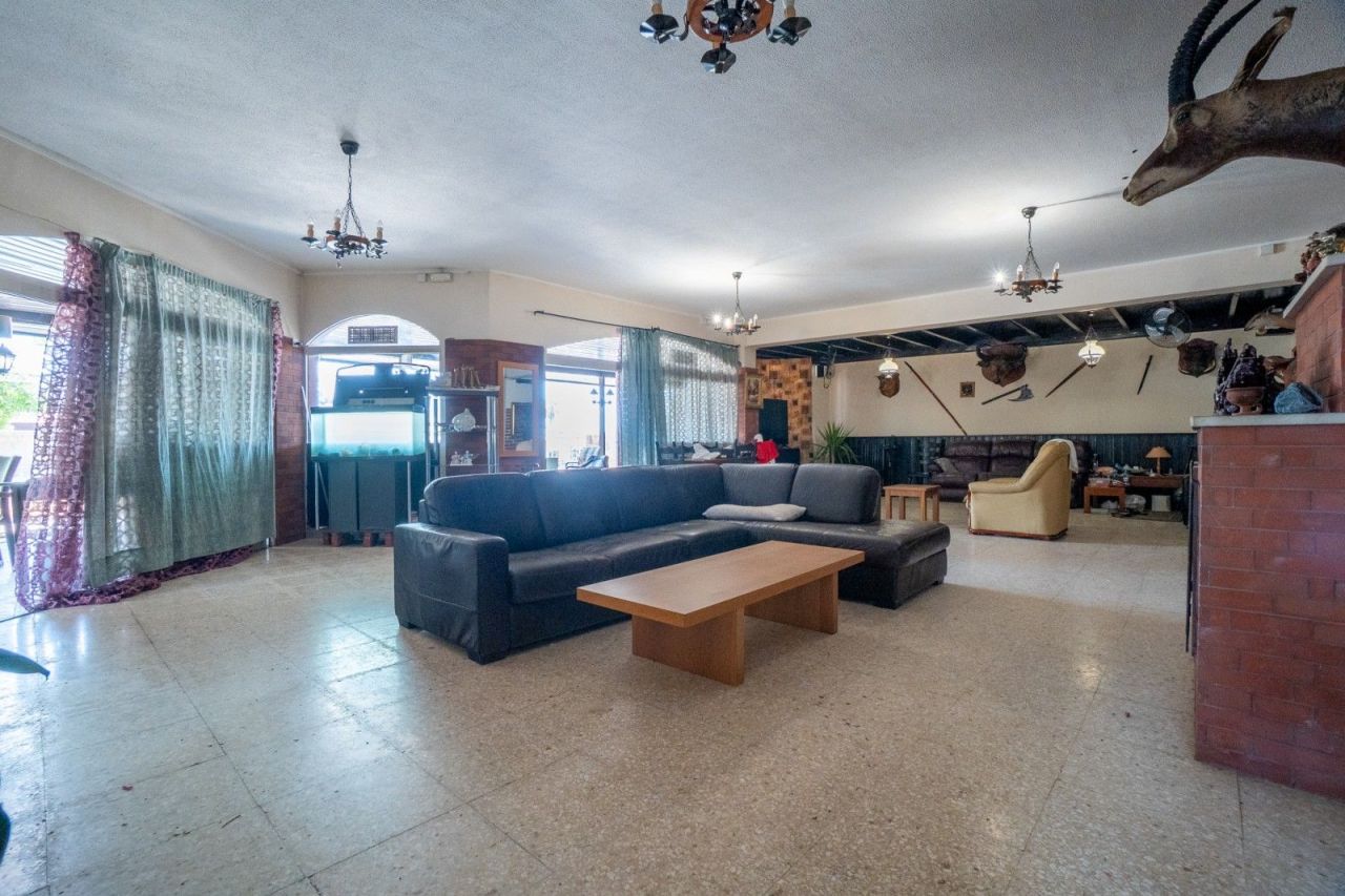 Café, restaurant à Paphos, Chypre, 375 m² - image 6