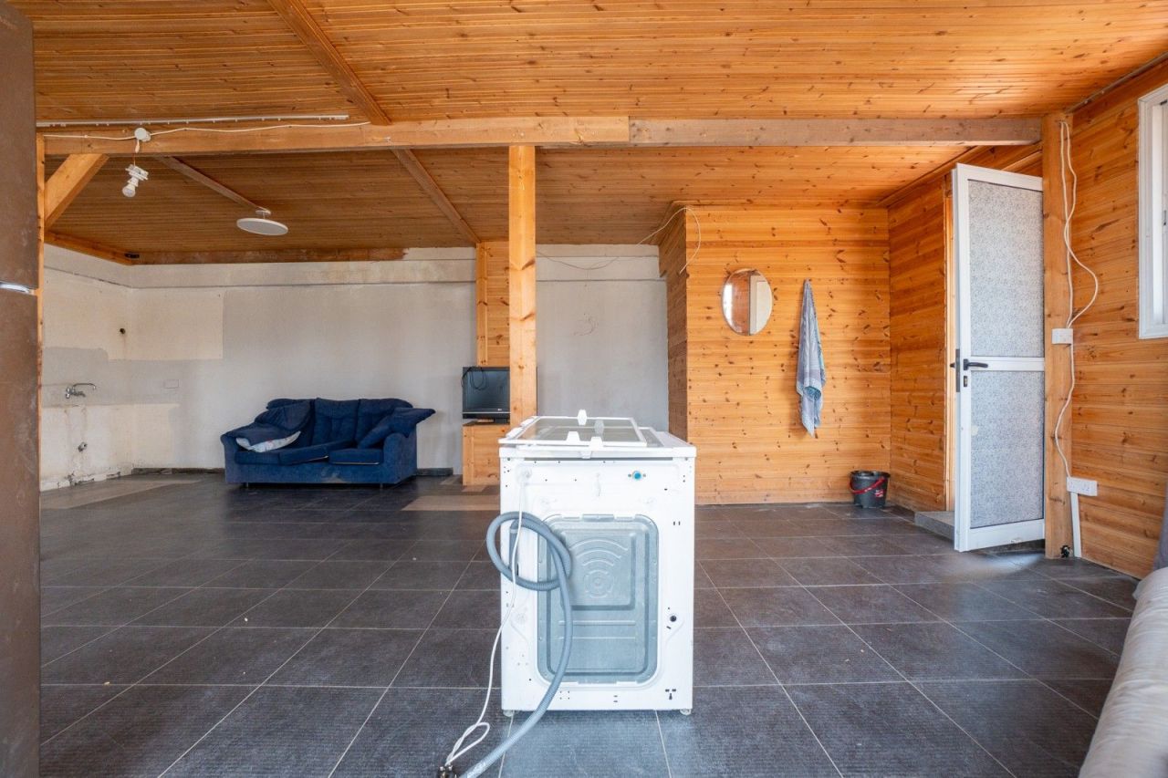 Café, restaurant à Paphos, Chypre, 375 m² - image 13