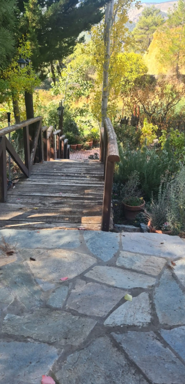 Haus in Limassol, Zypern - Foto 9