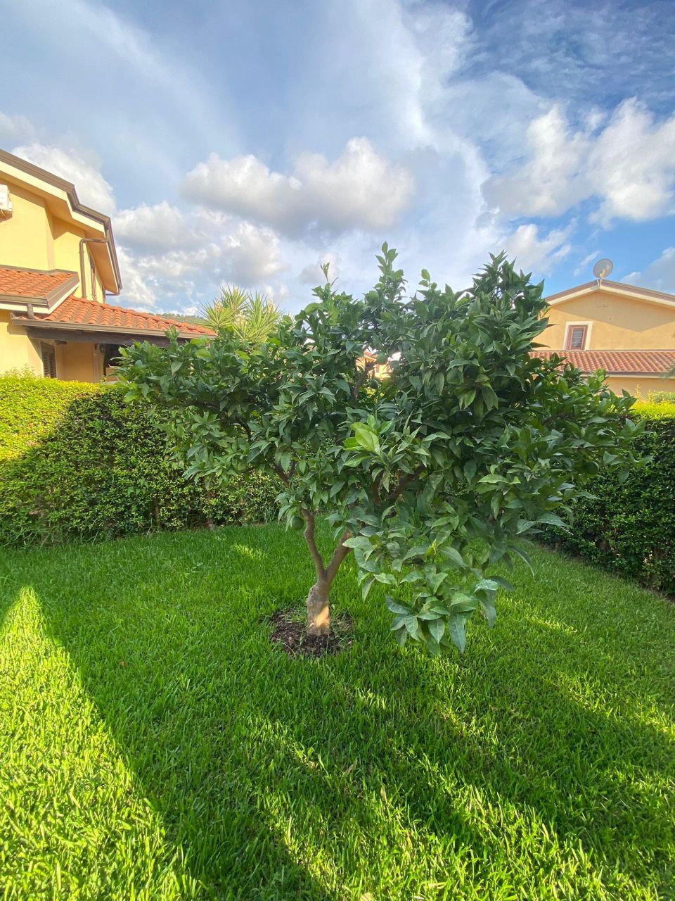 Villa a Pizzo, Italia, 180 m² - foto 17