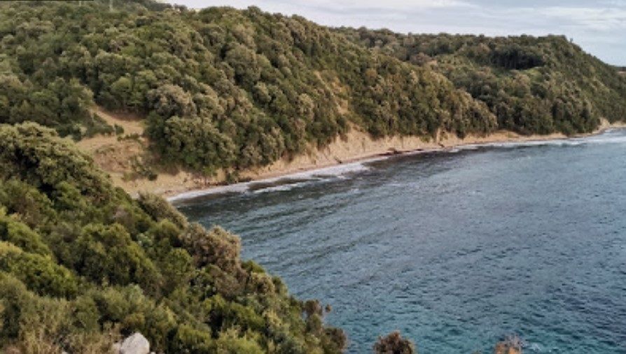 Terrain à Dobra Voda, Monténégro, 450 m² - image 1