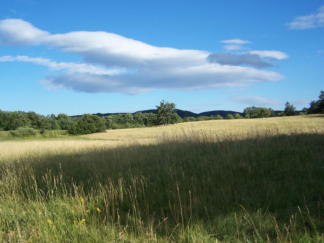 Terrain à Danilovgrad, Monténégro, 7 000 m² - image 1
