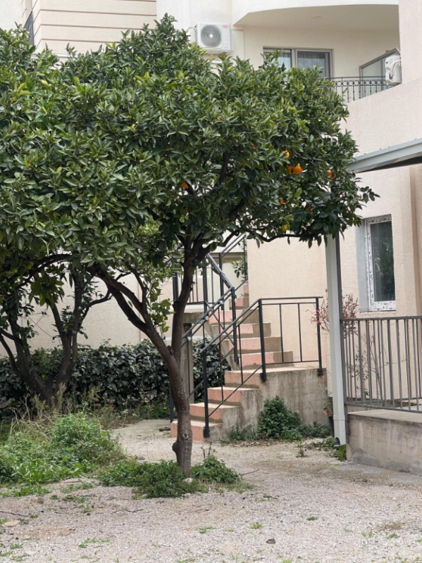 Wohnung Ilino, Montenegro, 42 m² - Foto 1