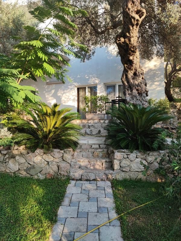 Casa Bartula, Montenegro, 350 m² - imagen 1