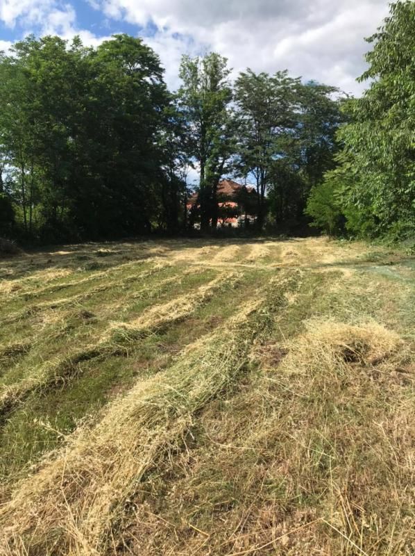 Terreno en Golubovci, Montenegro, 1 019 m² - imagen 1
