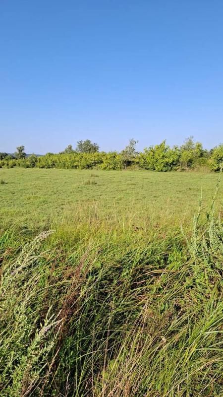 Grundstück in Ulcinj, Montenegro, 3 566 m² - Foto 1