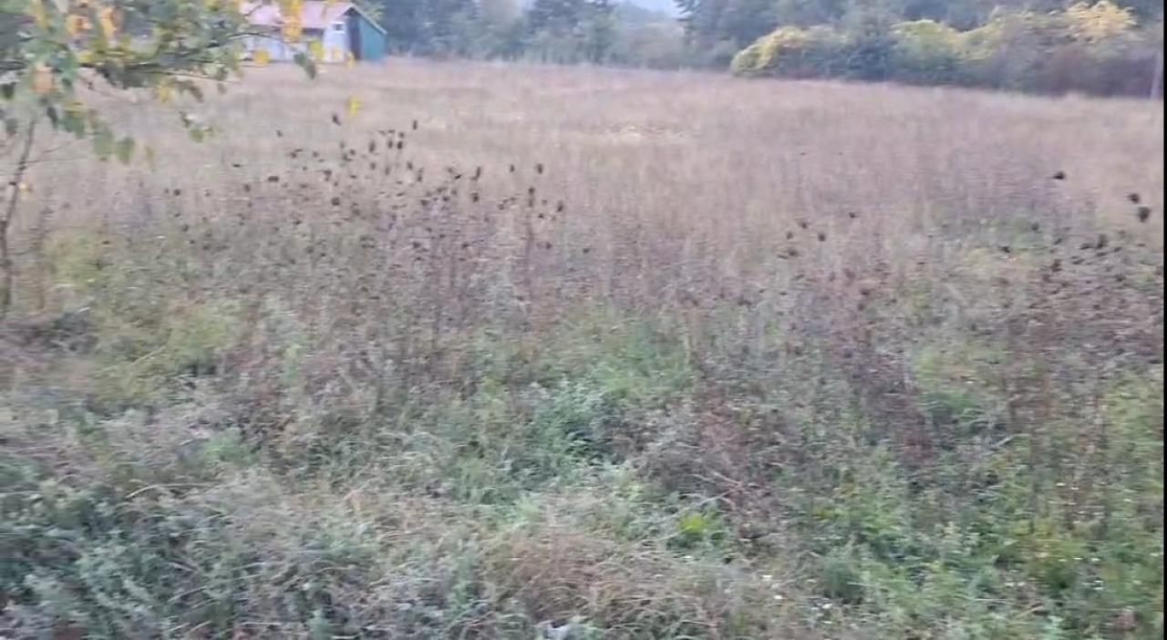 Land in Danilovgrad, Montenegro, 1 500 m² - picture 1