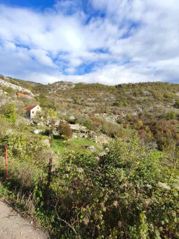 Terrain à Cetinje, Monténégro, 26 000 m² - image 1