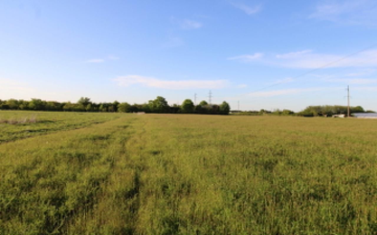Terrain à Danilovgrad, Monténégro, 8 000 m² - image 1