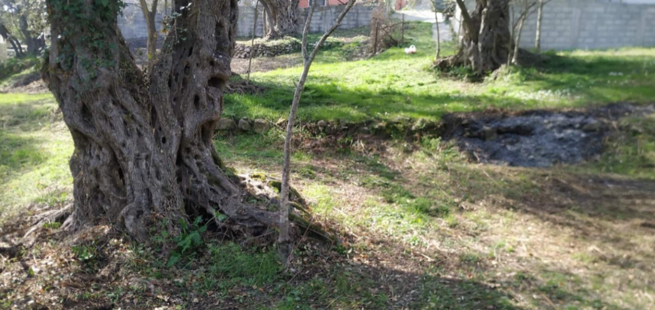 Terreno en Kruče, Montenegro, 1 057 m² - imagen 2