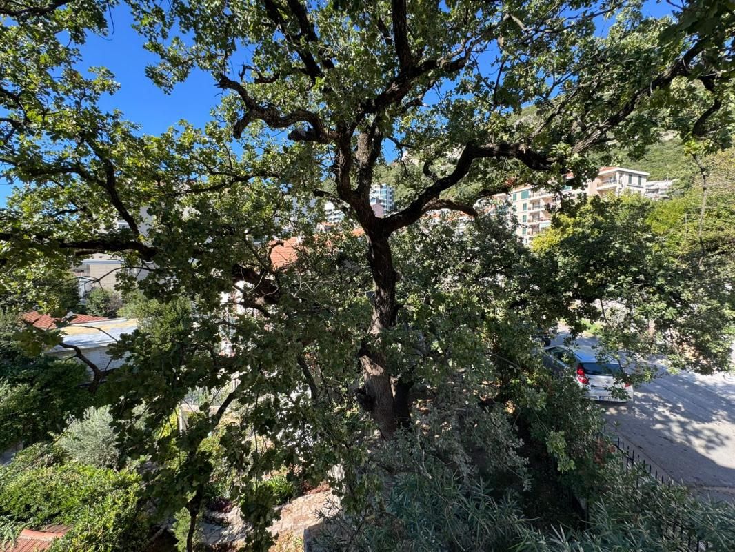 Appartement à Becici, Monténégro, 228 m² - image 2