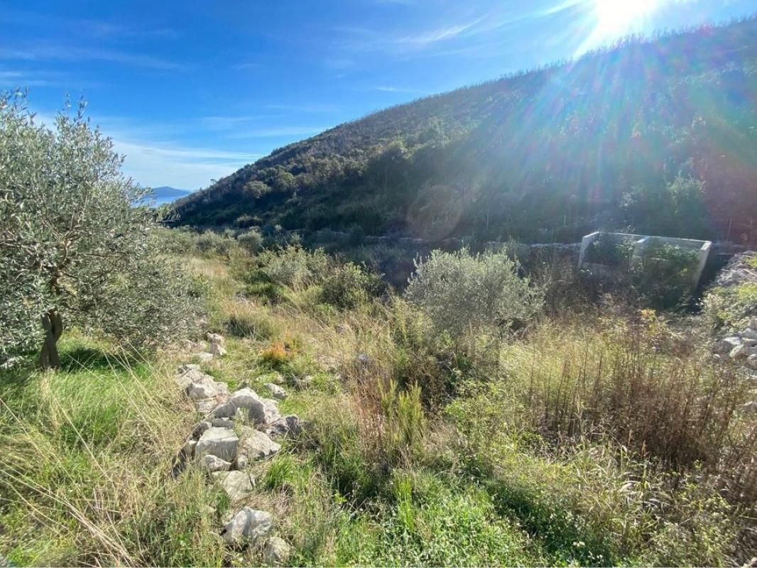 Land Lushtica, Montenegro - picture 2