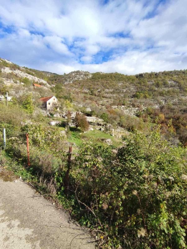 Terreno a Cettigne, Montenegro, 26 000 m2 - foto 2