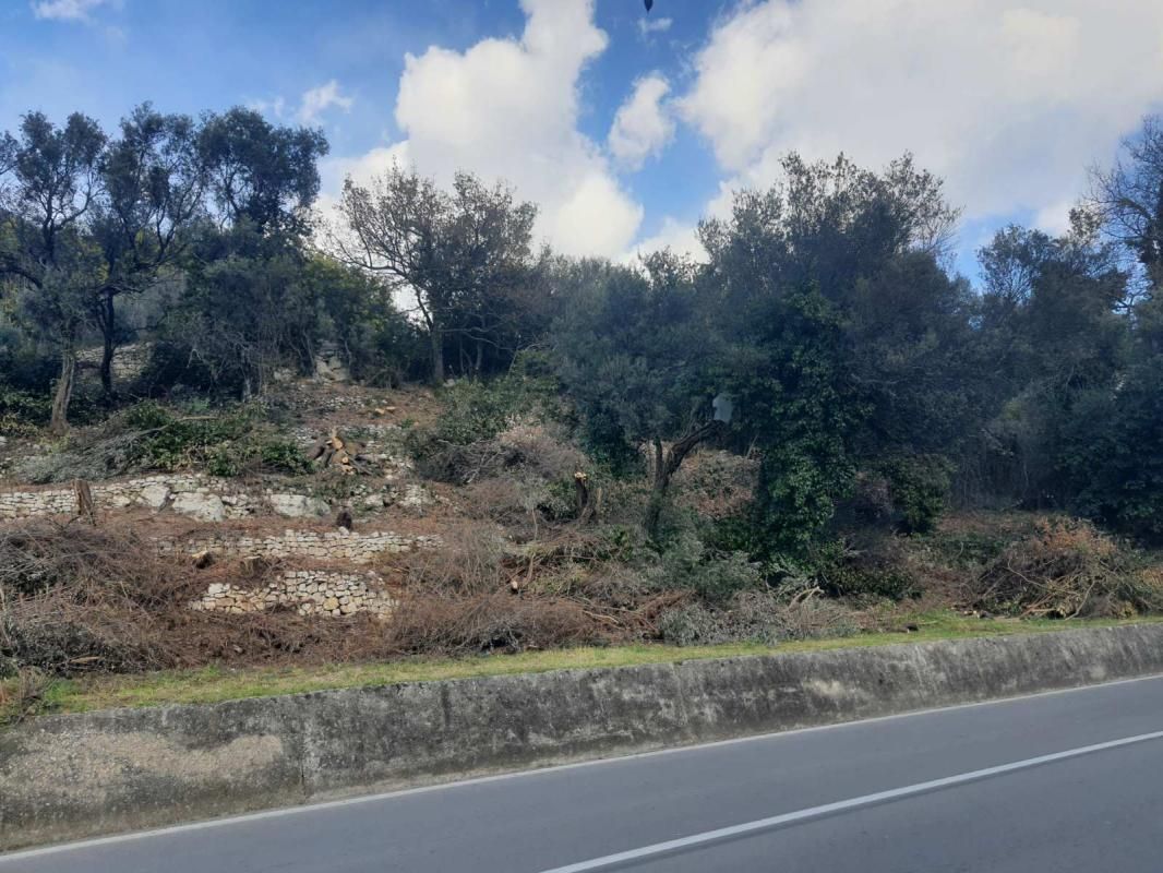 Terreno en Denovici, Montenegro, 919 m² - imagen 2