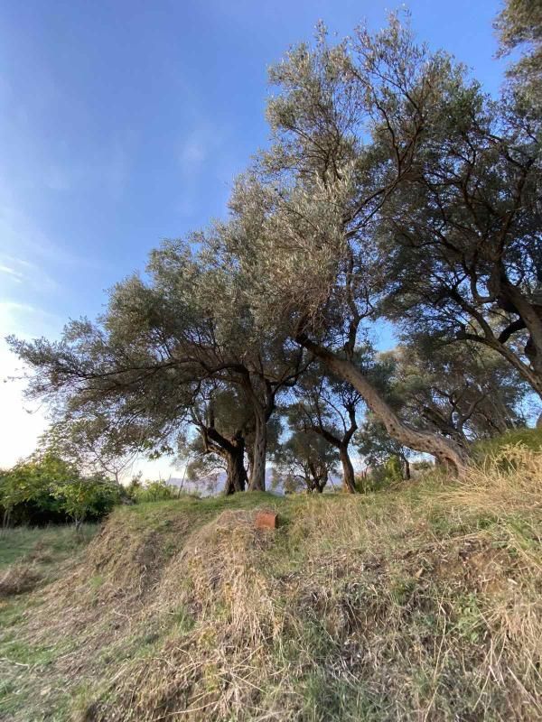 Terreno Zaljevo, Montenegro, 3 770 m² - imagen 2