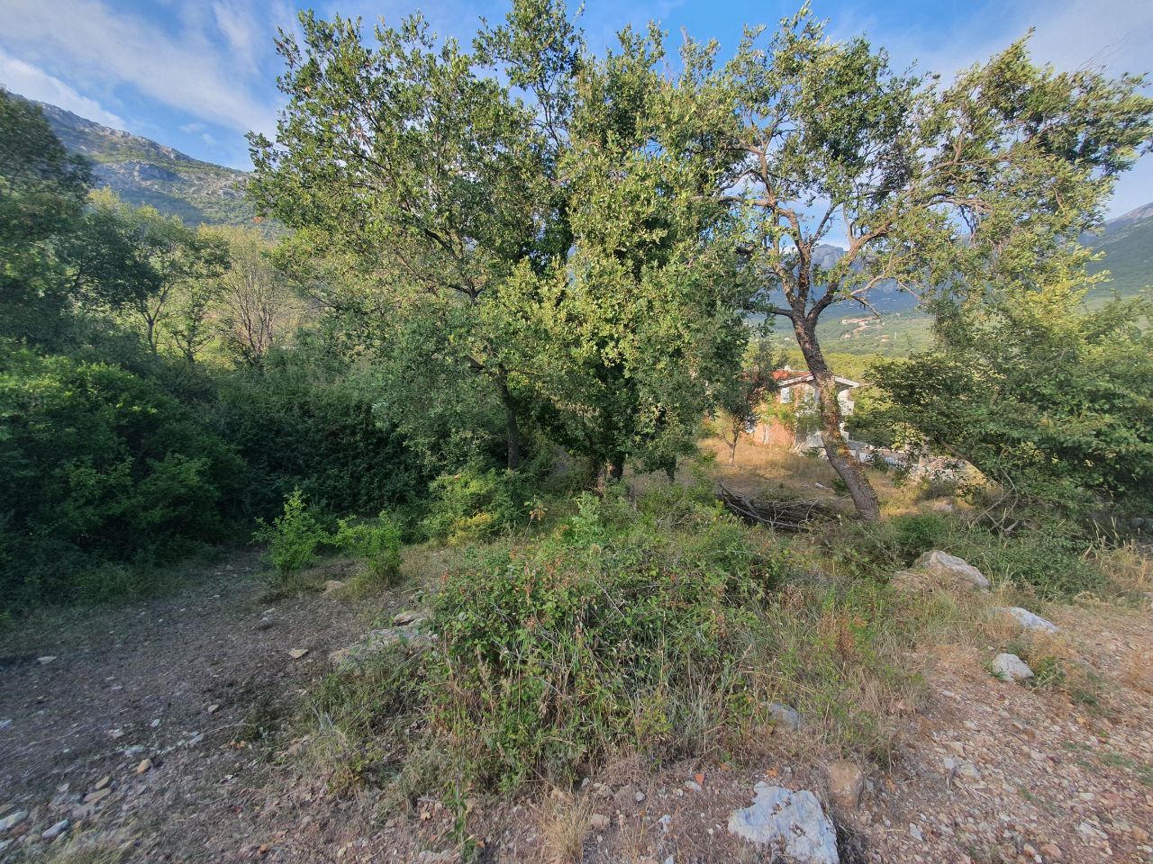 Land in Susanj, Montenegro, 2 130 m² - picture 2