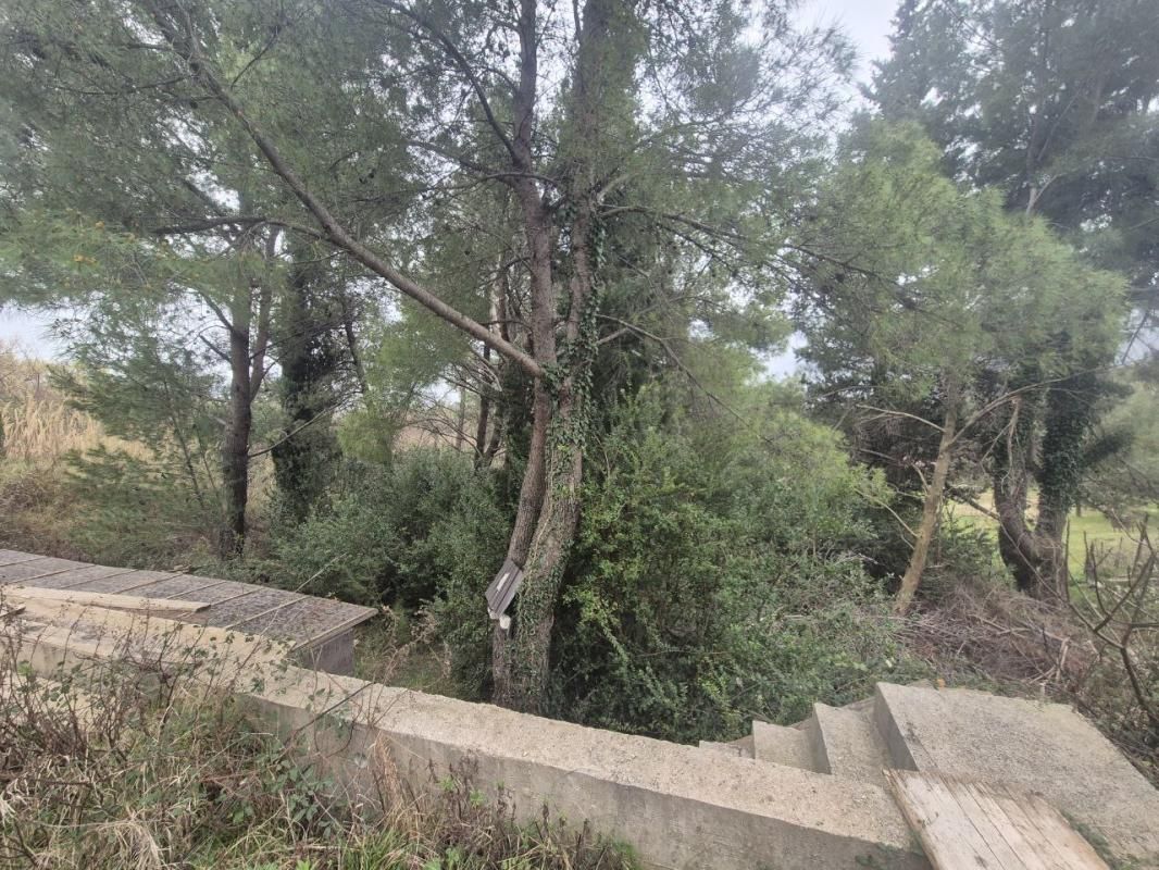 Grundstück Moidezh, Montenegro, 980 m² - Foto 3