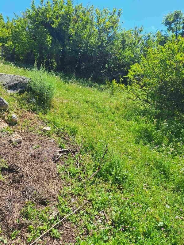 Haus in Danilovgrad, Montenegro, 73 m² - Foto 3