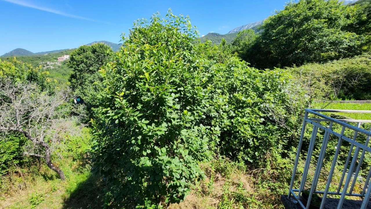 Haus in Igalo, Montenegro, 92 m² - Foto 3