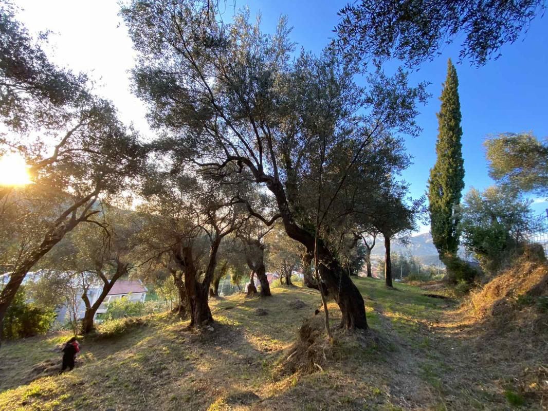 Terreno Zaljevo, Montenegro, 3 770 m² - imagen 3