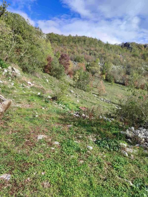 Terreno a Cettigne, Montenegro, 26 000 m2 - foto 4