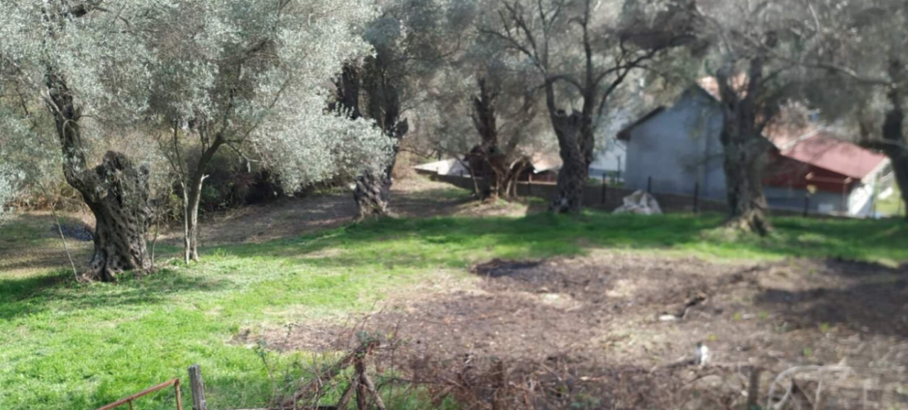 Terreno en Kruče, Montenegro, 1 057 m² - imagen 4