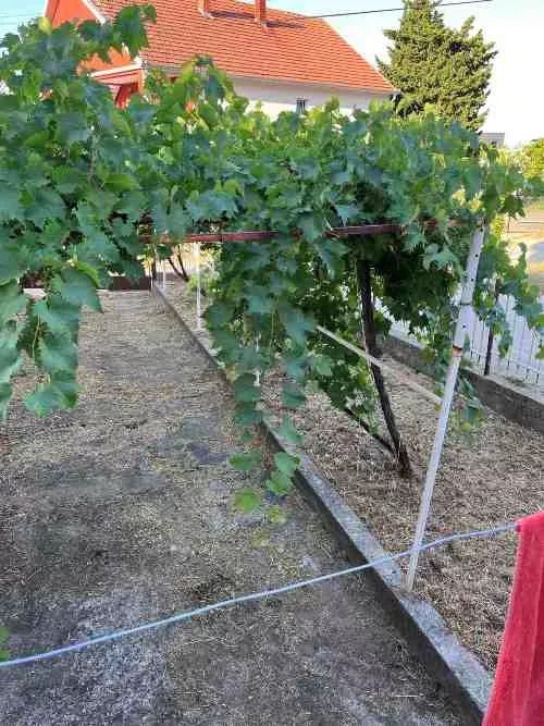 Maison à Šušanj, Monténégro, 62 m² - image 4