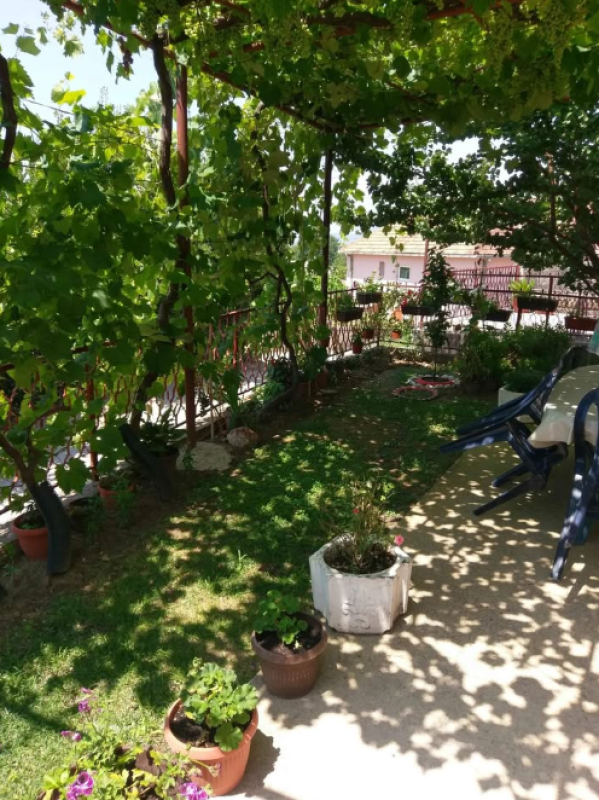 Casa Tomba, Montenegro, 200 m² - foto 4