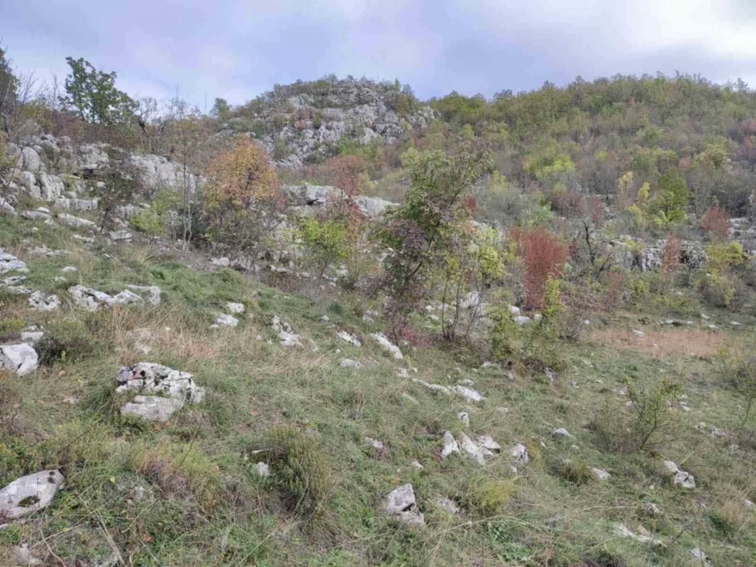Terreno a Cettigne, Montenegro, 26 000 m2 - foto 5