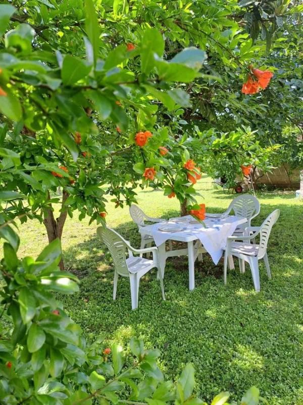 Maison à Danilovgrad, Monténégro, 130 m² - image 5