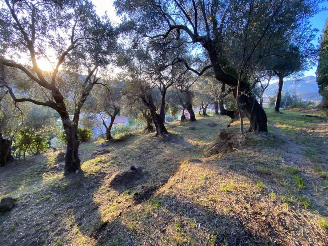 Terreno Zaljevo, Montenegro, 3 770 m² - imagen 5