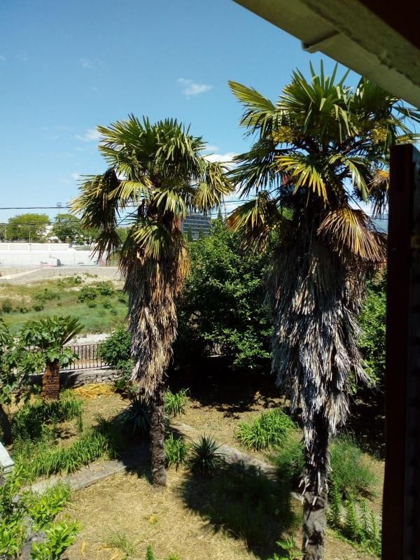 Casa en Podgorica, Montenegro, 550 m² - imagen 5