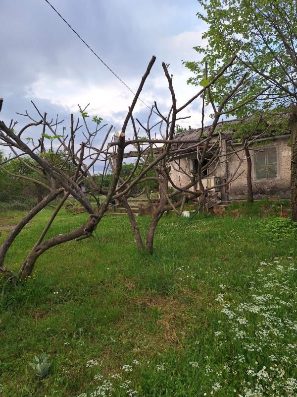 Maison à Danilovgrad, Monténégro, 40 m² - image 5