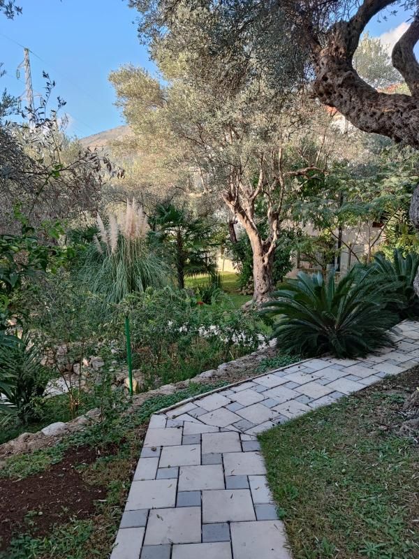 Maison Bartula, Monténégro, 350 m² - image 6