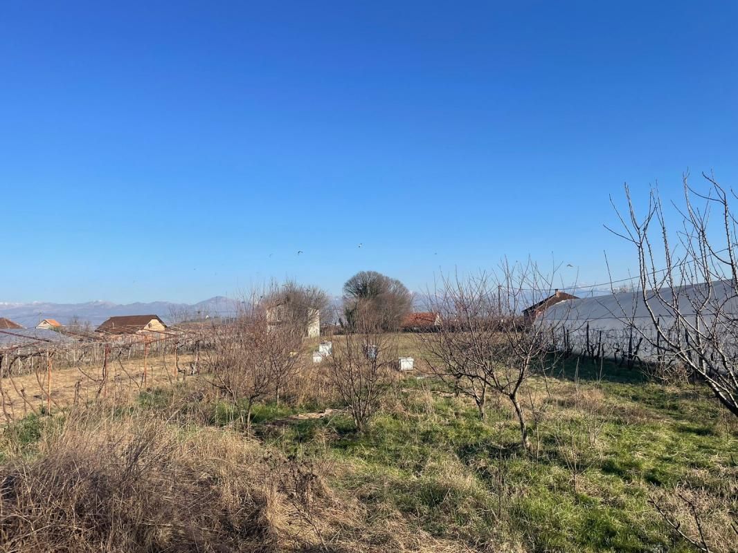 Grundstück Grbavci, Montenegro, 2 503 m² - Foto 6