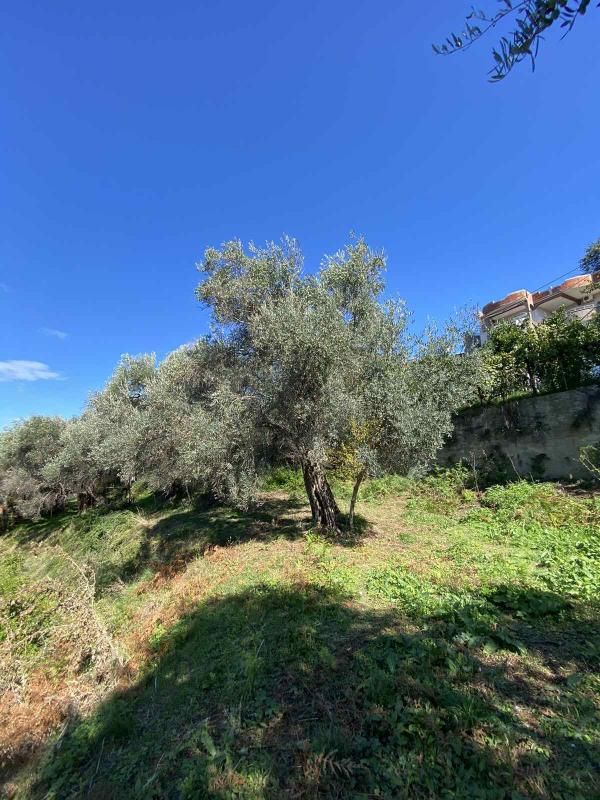 Terreno Zaljevo, Montenegro, 3 770 m² - imagen 6