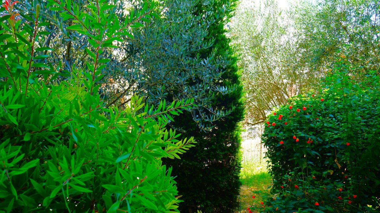 Piso Rozino, Montenegro, 44 m² - imagen 5