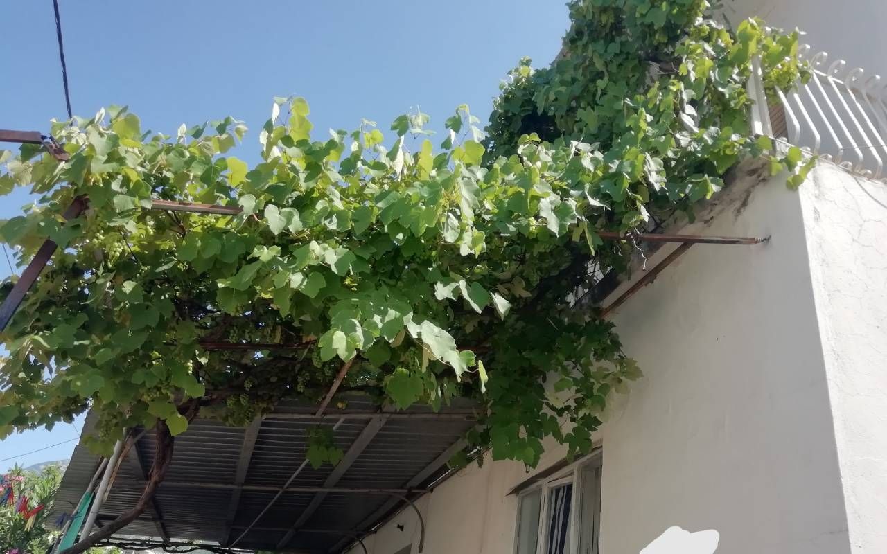 House in Sutomore, Montenegro, 160 m² - picture 7