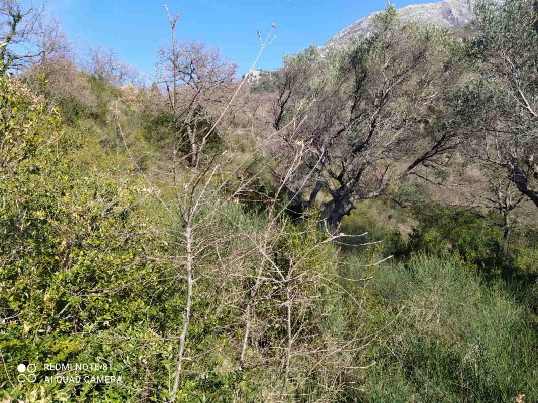 Terrain au Bar, Monténégro, 9 890 m² - image 7