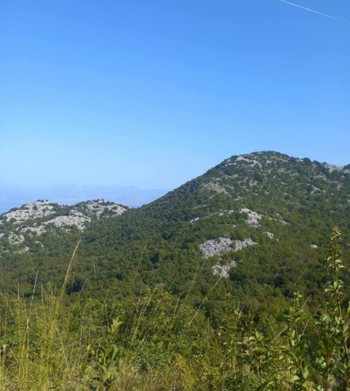 Terreno Skadarskoe ozero, Montenegro, 20 000 m2 - foto 7