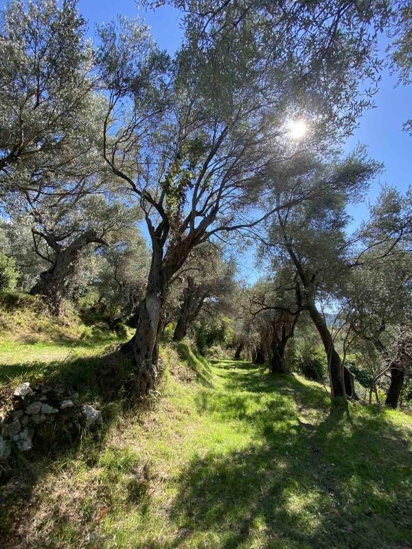 Terreno Zaljevo, Montenegro, 3 770 m² - imagen 7