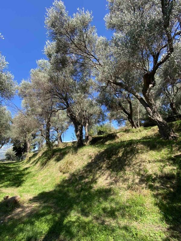 Terreno Zaljevo, Montenegro, 3 770 m² - imagen 8