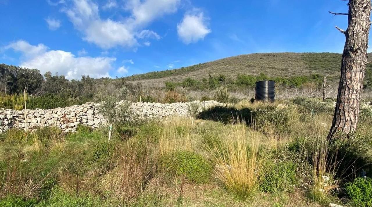 Land Lushtica, Montenegro - picture 8