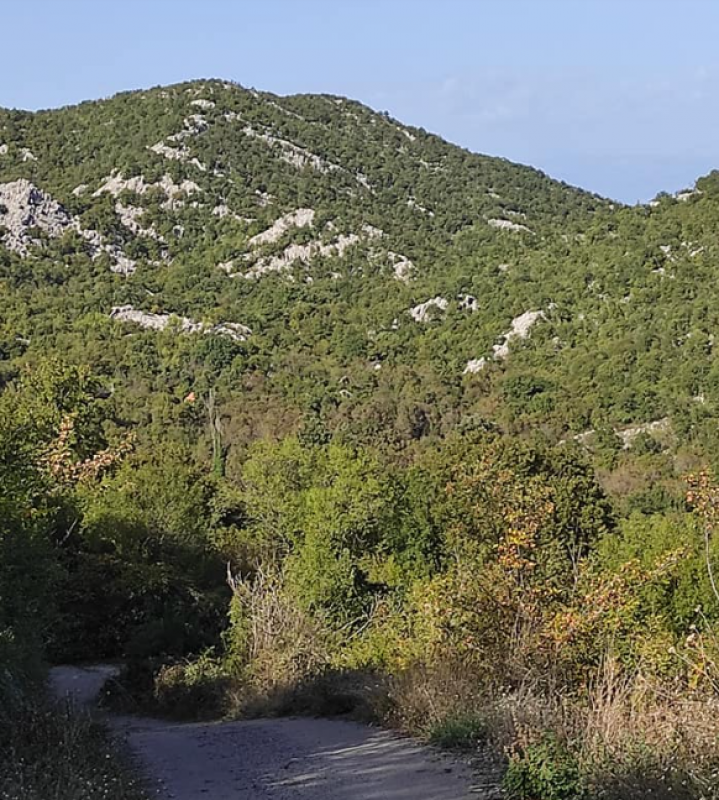 Terreno Skadarskoe ozero, Montenegro, 20 000 m2 - foto 8
