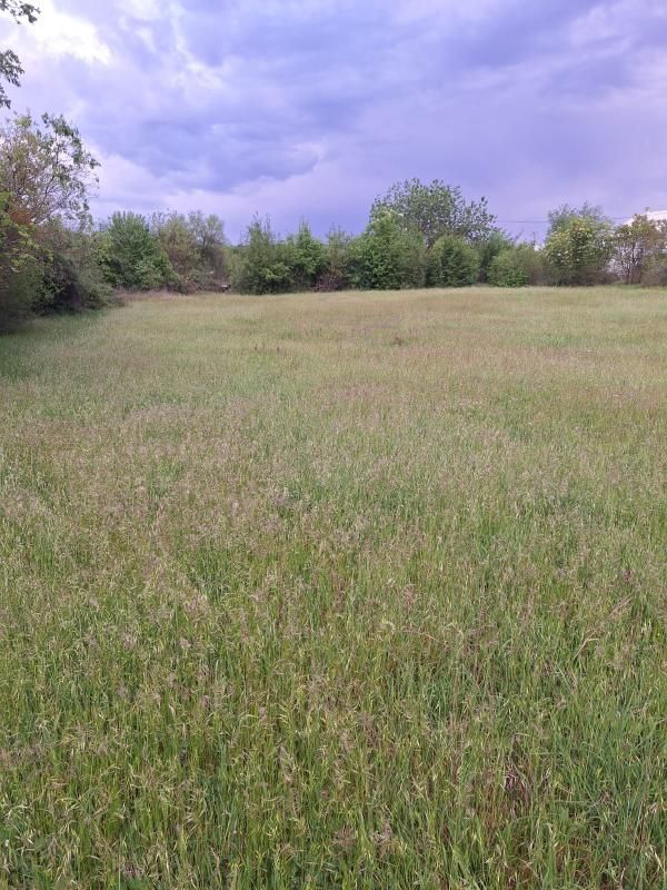 Maison à Danilovgrad, Monténégro, 40 m² - image 8