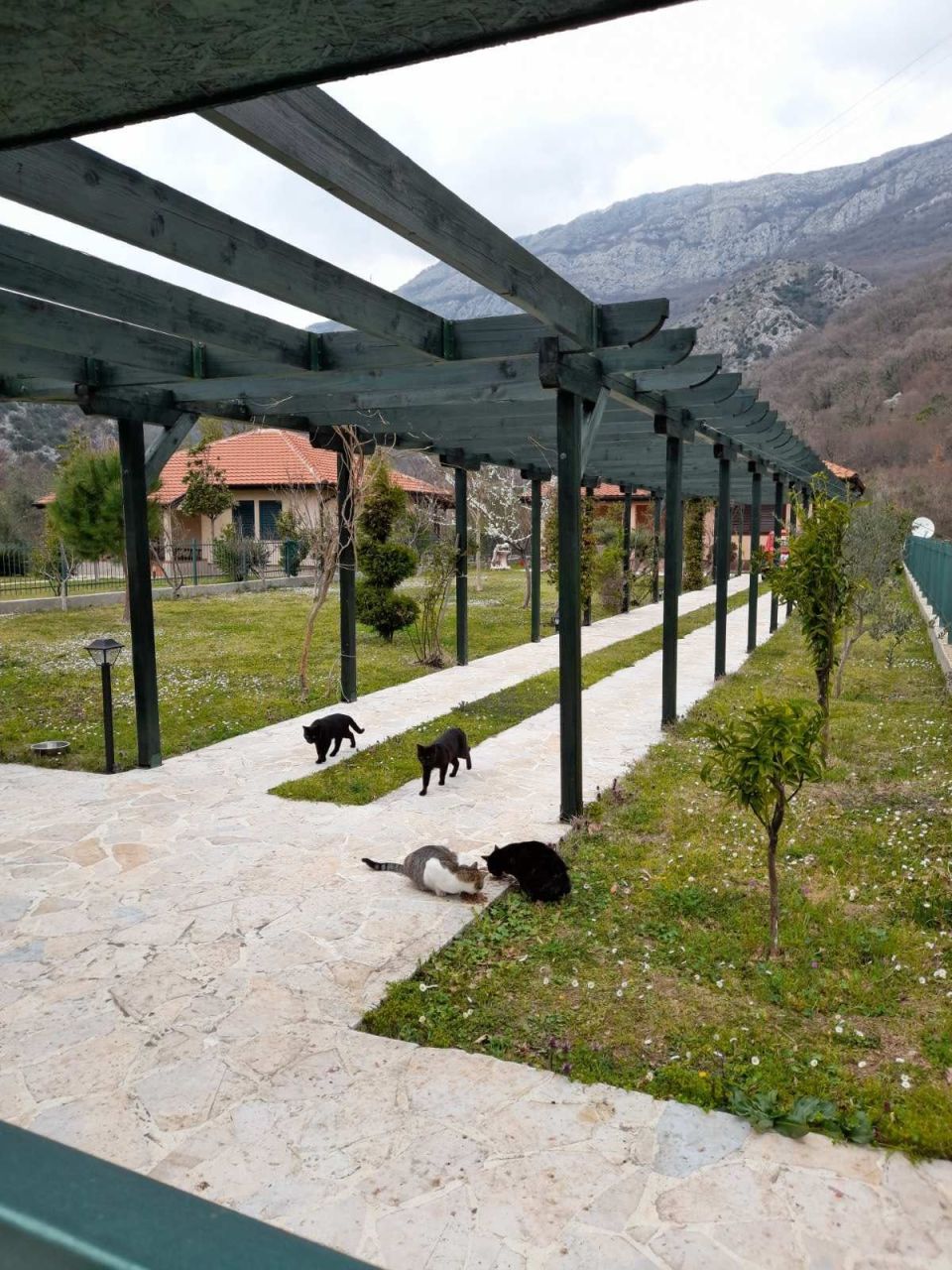 Casa en Petrovac, Montenegro, 80 m² - imagen 9